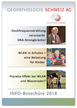 Infobroschüre 2018